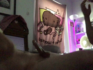 saltykitten february 2021