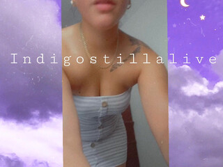 indigostillalive Beautiful bitch