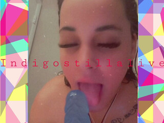 indigostillalive 15 March 2020