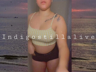 indigostillalive Luxury females
