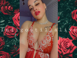 indigostillalive obnoxious retired with vibrator