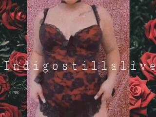 indigostillalive february 2021