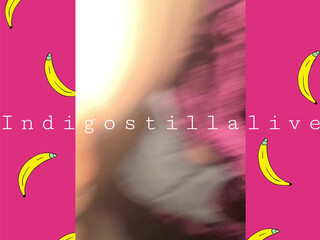 indigostillalive chubby mare in honor of the holiday shows its bust