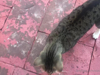 blakeblossomxxx tender slim body