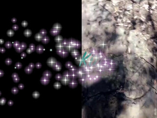 Kittywhite crazy slut rees both holes