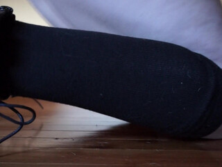 Kittywhite 25 November 2020