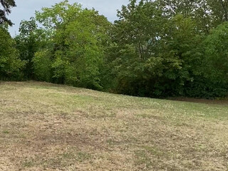 tiffanyleiddi onlyfans Spectacular kurva