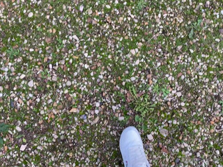 tiffanyleiddi onlyfans naughty courtesan fucks with phallus