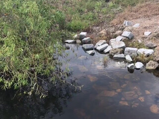 Kelsi Monroe onlyfans Extravagant brown-haired woman