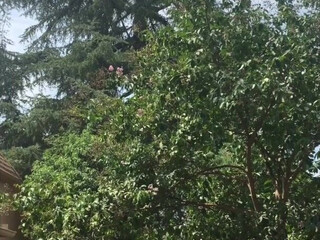 Riley Nixon onlyfans whore