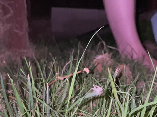 Riley Nixon onlyfans Russian whore