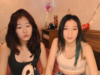 meowed_dance 15 December 2020