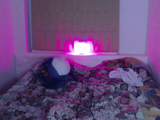 mazura_ gorgeous bitch dancing striptease