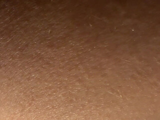 tssofiaxxx fascinating courtesan pretty ass fucks sex toy