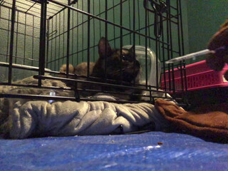 officialnmj beautiful woman jerks off pussy