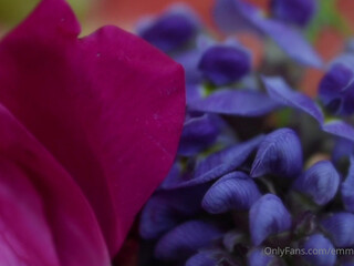 emmamagnoliaxo big tit babe fucked by a toy