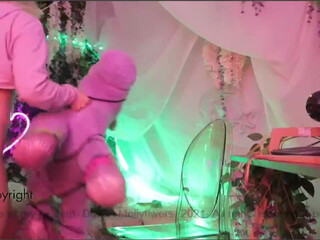 mollyflwers february 2021