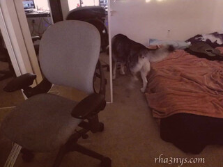 rhaenys 31 December 2020