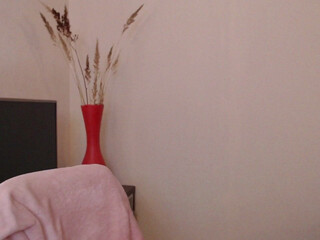 _ariana_grande__ charming bitch jerks pussy and cums