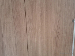 Nathalia Fontes  public