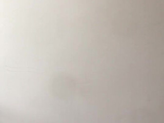 Indigo White  crazy beast fucks pussy