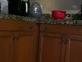 xnicoleanistonx   busty woman posing in panties