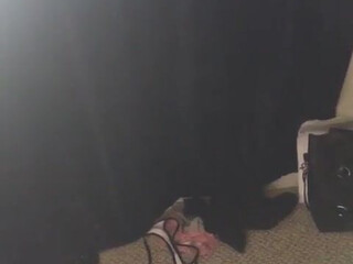 joannaangel Pink fan