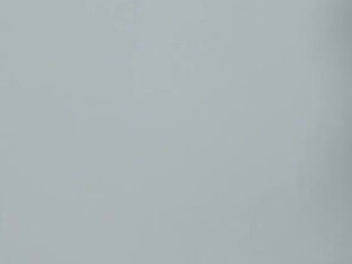 FoxyGamer onlyfans tear off