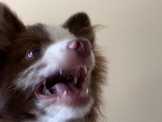 elianarose onlyfans luxurious lady gently masturbates pussy