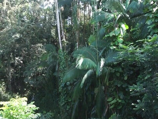 elianarose onlyfans hot bitch sucks dildos