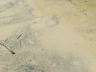 indiannarajung 30 June 2020