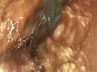 missmeforever onlyfans Bitch with