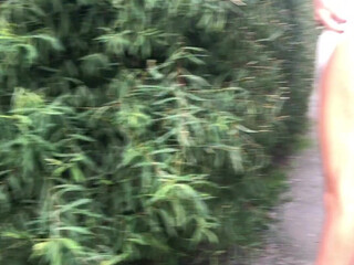 BellaVale  gorgeous lady in a long dress