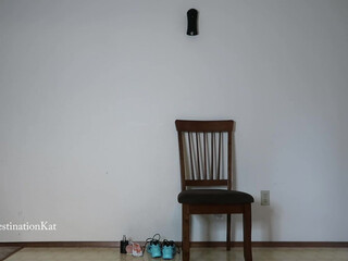 Destinationkat creature