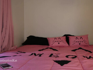 Destinationkat little runet