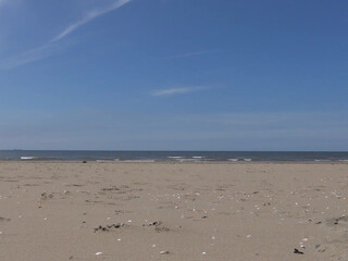 Black  Seductive Slut