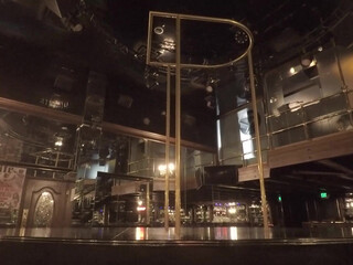 Stripper 12 March 2020