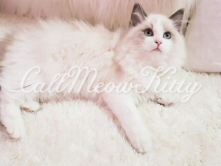 Kitty  adult skin masturbates with fingers