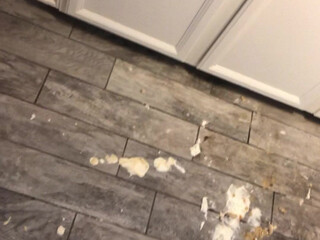 sophiethebodyvip naughty brunette fucks with a dildo