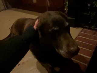 babybeepers naughty blonde sucks penis and gets fucked