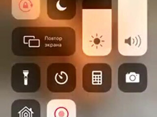 no lesbi (no lesbi) OnlyFans   hot beast jerking her shaved cunt