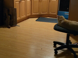 charlotte girl in stockings shows juicy ass