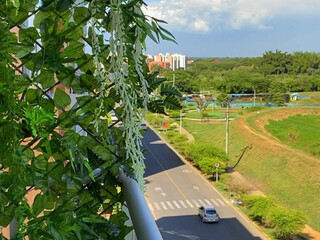 Laura_Saenz OnlyFans sweetlaurasaenz  crazy passions jerking sex toys