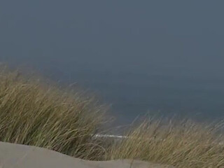 veronagymnast   Busty courtesan