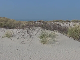 veronagymnast   Doll in