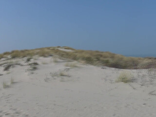 veronagymnast   Sultry chick