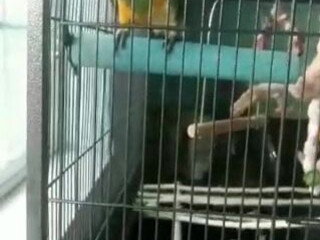 charlotte 04 December 2020