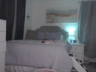 Queen Bambi Tattooed girls transvestites