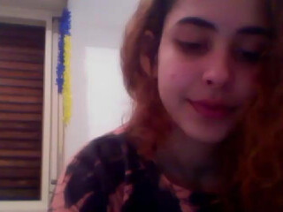 dreianova toys in all holes