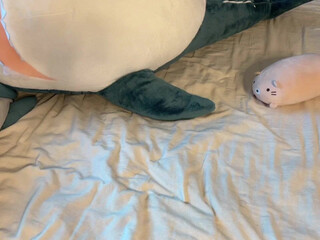 eva_cali easily accessible bitch is given to a neighbor